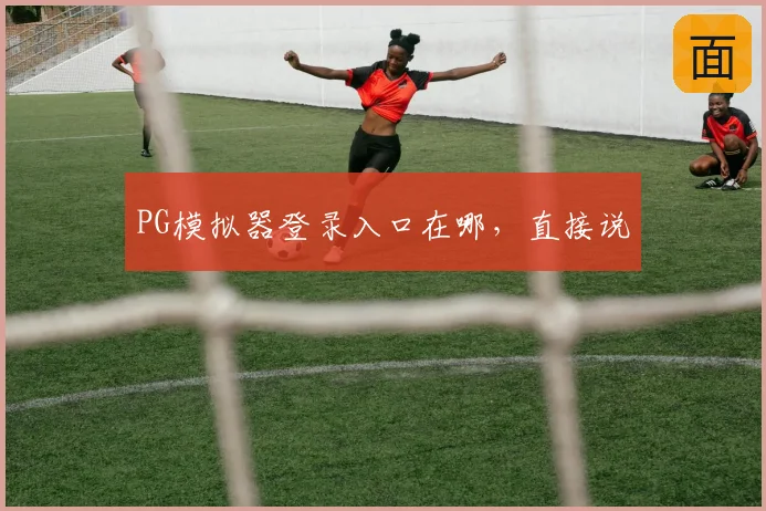 PG模拟器登录入口在哪,直接说